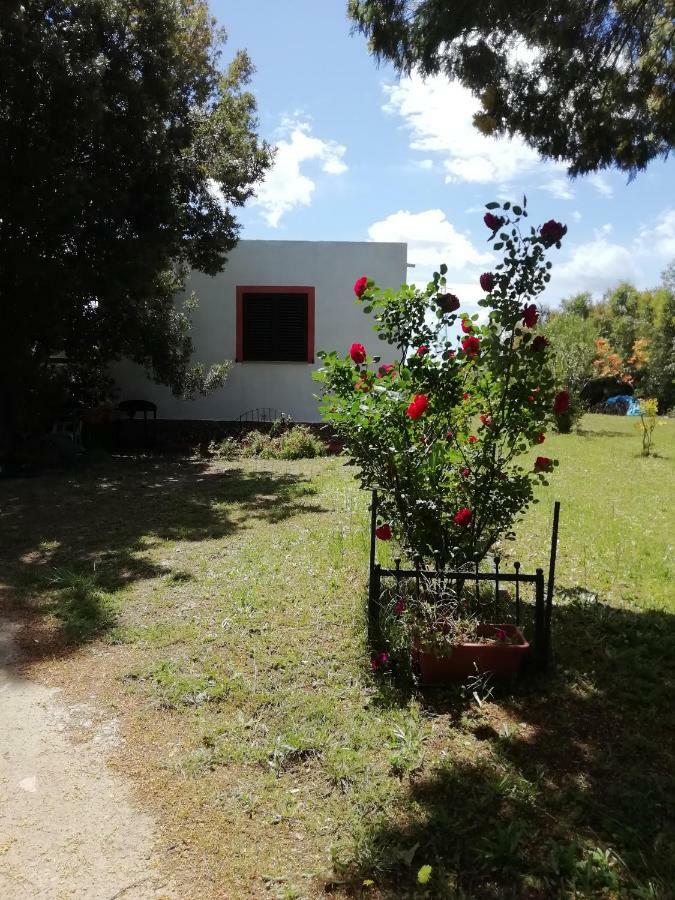 Stanais Villa Tortoli Bagian luar foto